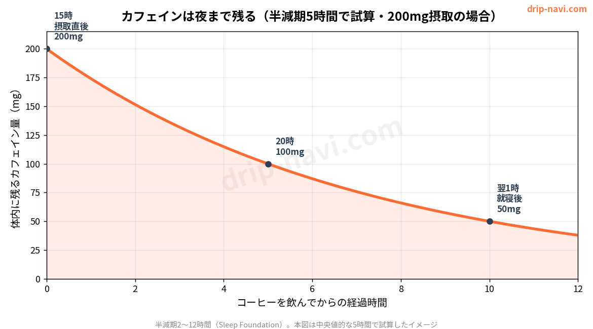 カフェインは夜まで残る（半減期5時間で試算・200mg摂取の場合）