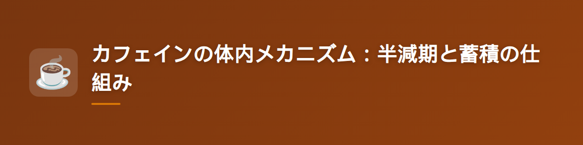 カフェインの体内メカニズム：半減期と蓄積の仕組み